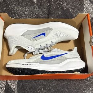 Nike Men's Pegasus 41